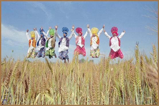 Bhangra Folk Dancers