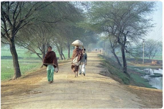 Memories of Punjab - 40