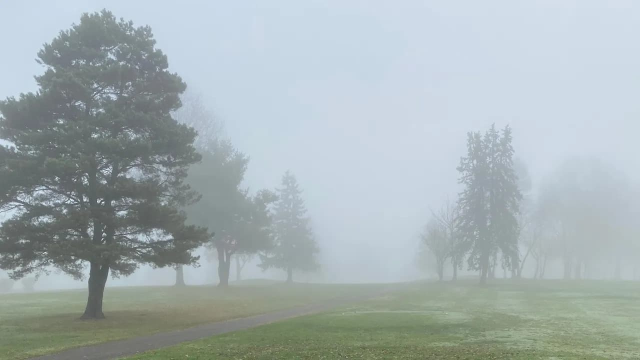 The Fog Survival Guide: Advice to Handle Dense Fog